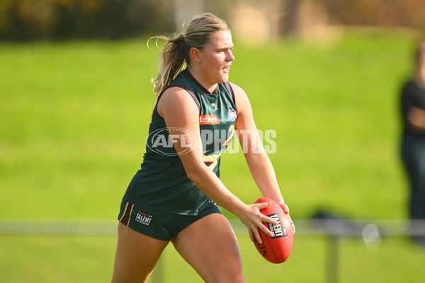 Coates Talent League U18 Girls 2024 Round 08 - Northern Knights v Tasmania Devils - A-49645454