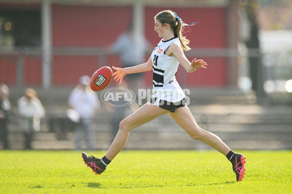 Coates Talent League U18 Girls 2024 Round 08 - Northern Knights v Tasmania Devils - A-49645459