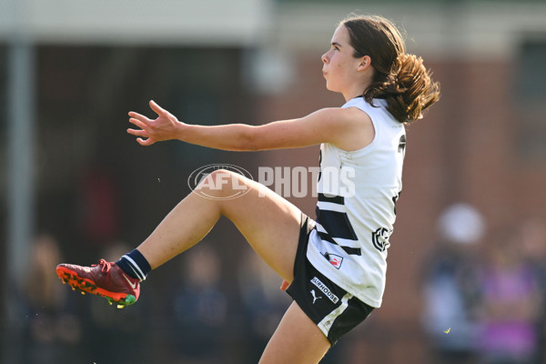 Coates Talent League U18 Girls 2024 Round 08 - Northern Knights v Tasmania Devils - A-49645460