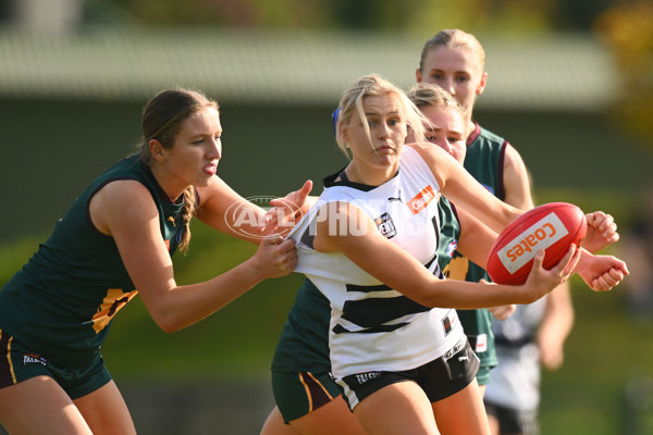 Coates Talent League U18 Girls 2024 Round 08 - Northern Knights v Tasmania Devils - A-49645461