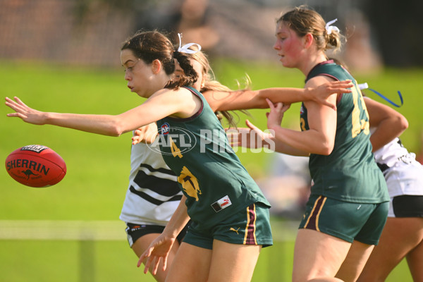 Coates Talent League U18 Girls 2024 Round 08 - Northern Knights v Tasmania Devils - A-49645486