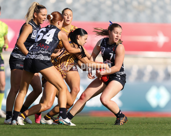 VFLW 2024 Round 10 - Carlton v Box Hill - A-49645530