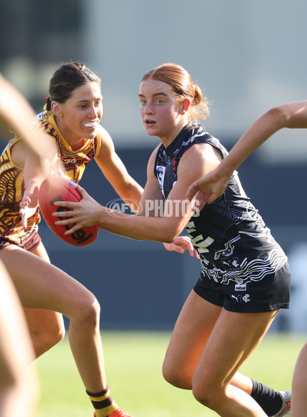 VFLW 2024 Round 10 - Carlton v Box Hill - A-49648126