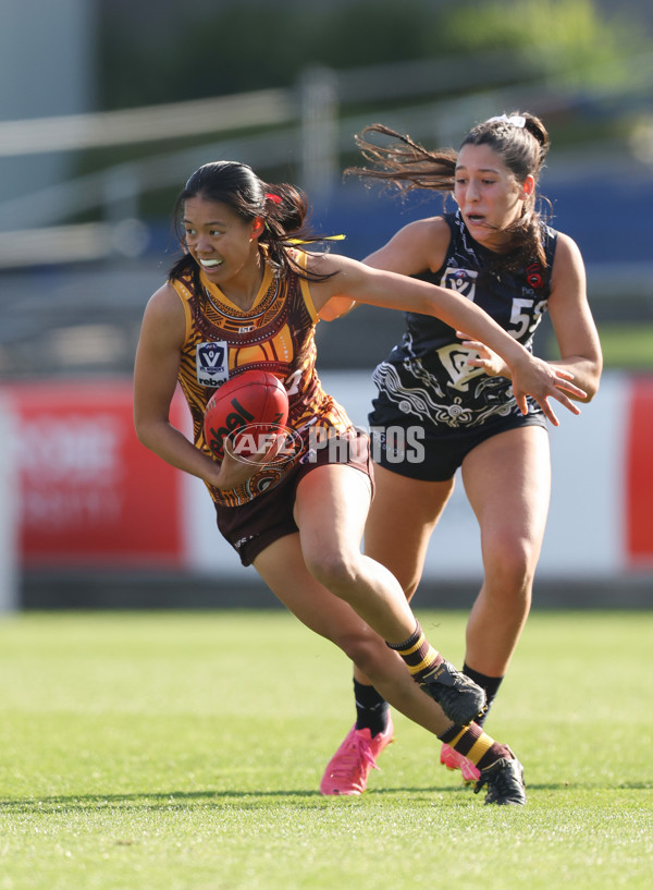 VFLW 2024 Round 10 - Carlton v Box Hill - A-49648223