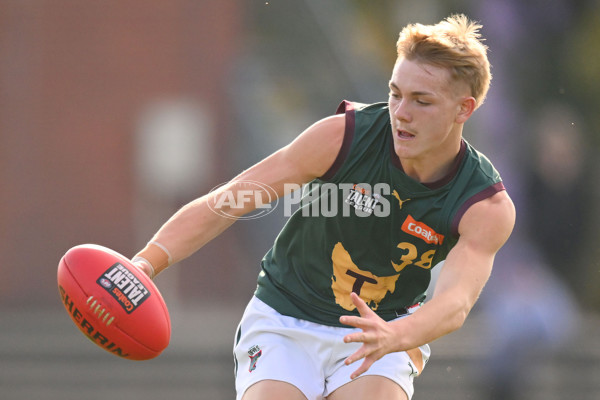 Coates Talent League U18 Boys 2024 Round 09 - Northern Knights v Tasmania Devils - A-49650795