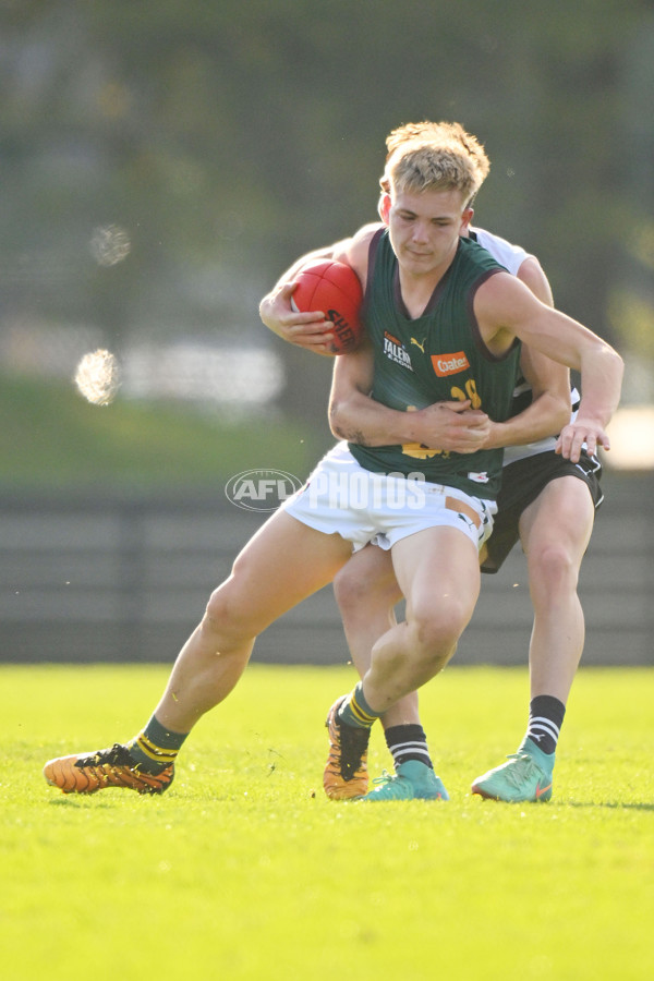 Coates Talent League U18 Boys 2024 Round 09 - Northern Knights v Tasmania Devils - A-49650819