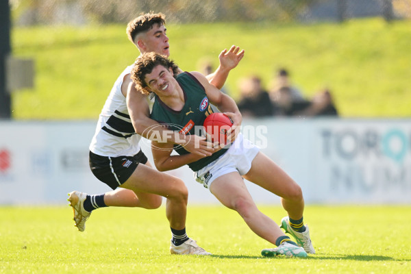 Coates Talent League U18 Boys 2024 Round 09 - Northern Knights v Tasmania Devils - A-49650822