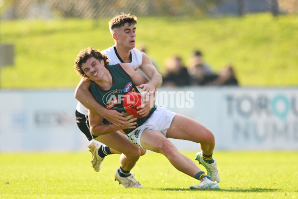 Coates Talent League U18 Boys 2024 Round 09 - Northern Knights v Tasmania Devils - A-49650826