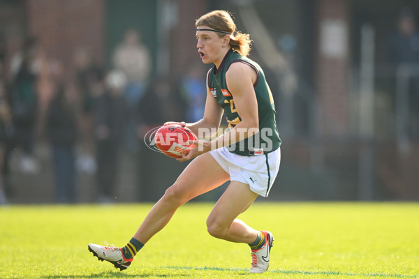 Coates Talent League U18 Boys 2024 Round 09 - Northern Knights v Tasmania Devils - A-49650828