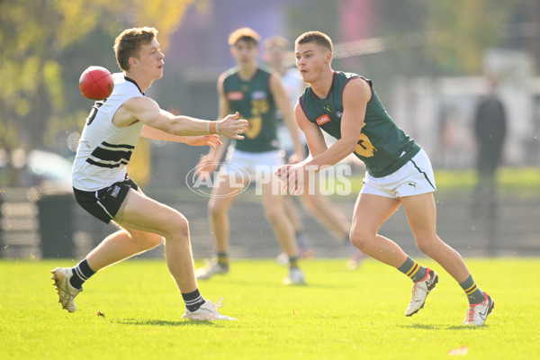 Coates Talent League U18 Boys 2024 Round 09 - Northern Knights v Tasmania Devils - A-49650829