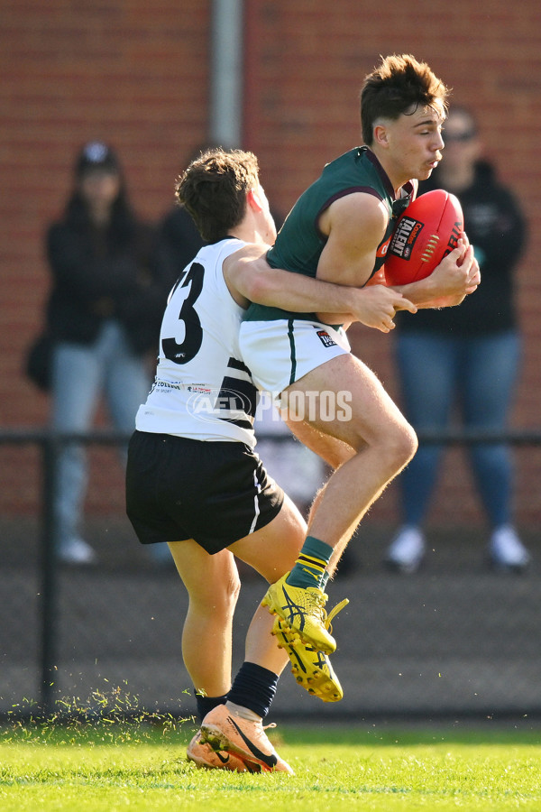 Coates Talent League U18 Boys 2024 Round 09 - Northern Knights v Tasmania Devils - A-49650830