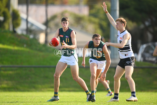 Coates Talent League U18 Boys 2024 Round 09 - Northern Knights v Tasmania Devils - A-49650831