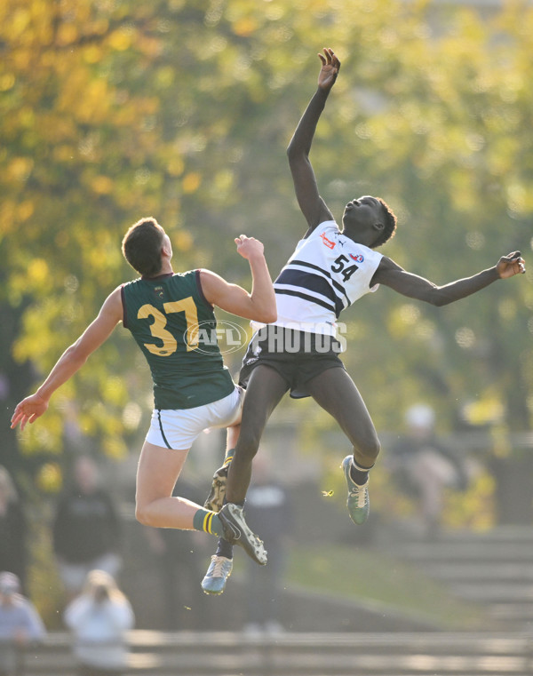 Coates Talent League U18 Boys 2024 Round 09 - Northern Knights v Tasmania Devils - A-49650841