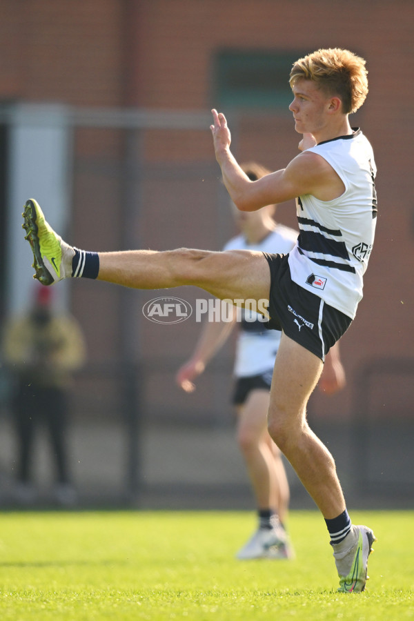 Coates Talent League U18 Boys 2024 Round 09 - Northern Knights v Tasmania Devils - A-49650844