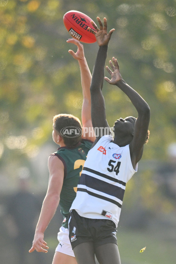 Coates Talent League U18 Boys 2024 Round 09 - Northern Knights v Tasmania Devils - A-49650845