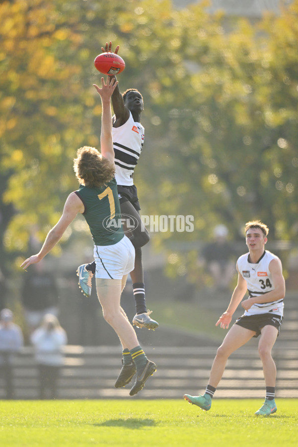 Coates Talent League U18 Boys 2024 Round 09 - Northern Knights v Tasmania Devils - A-49650846