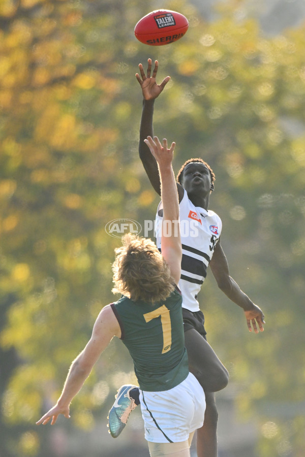 Coates Talent League U18 Boys 2024 Round 09 - Northern Knights v Tasmania Devils - A-49650849