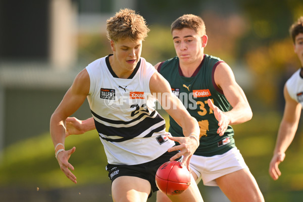 Coates Talent League U18 Boys 2024 Round 09 - Northern Knights v Tasmania Devils - A-49650901