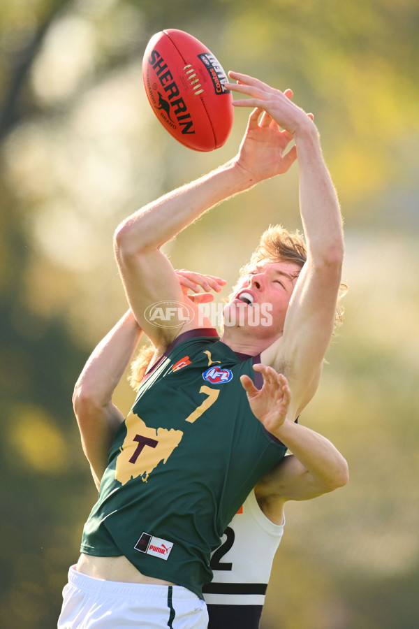 Coates Talent League U18 Boys 2024 Round 09 - Northern Knights v Tasmania Devils - A-49650915