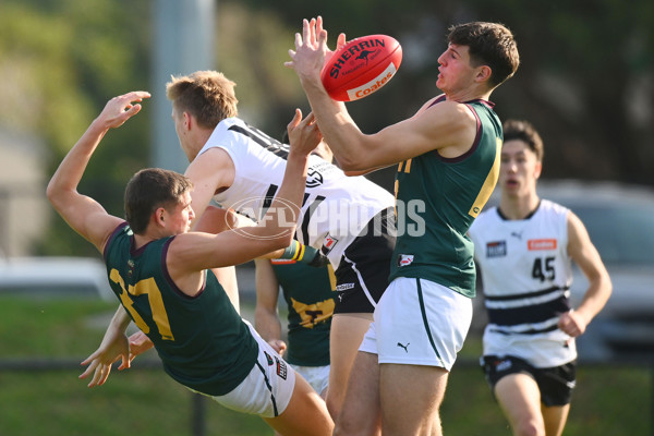 Coates Talent League U18 Boys 2024 Round 09 - Northern Knights v Tasmania Devils - A-49650921