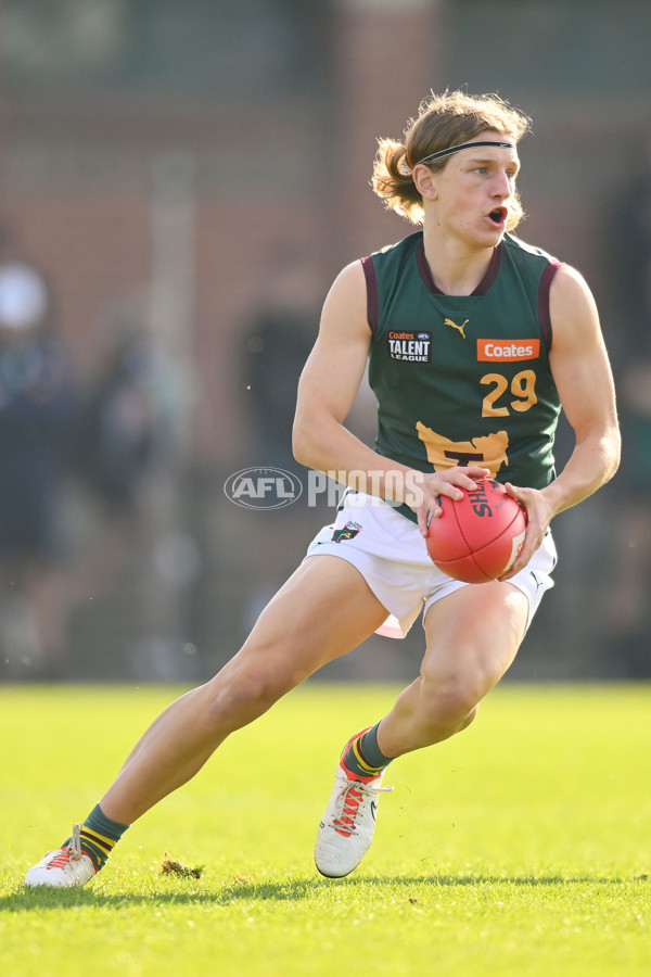 Coates Talent League U18 Boys 2024 Round 09 - Northern Knights v Tasmania Devils - A-49650923