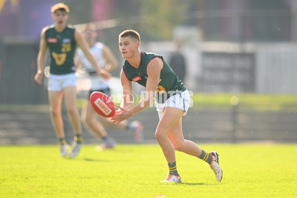 Coates Talent League U18 Boys 2024 Round 09 - Northern Knights v Tasmania Devils - A-49650925