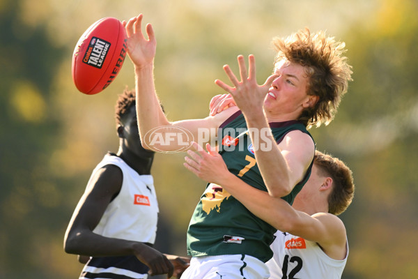 Coates Talent League U18 Boys 2024 Round 09 - Northern Knights v Tasmania Devils - A-49650926