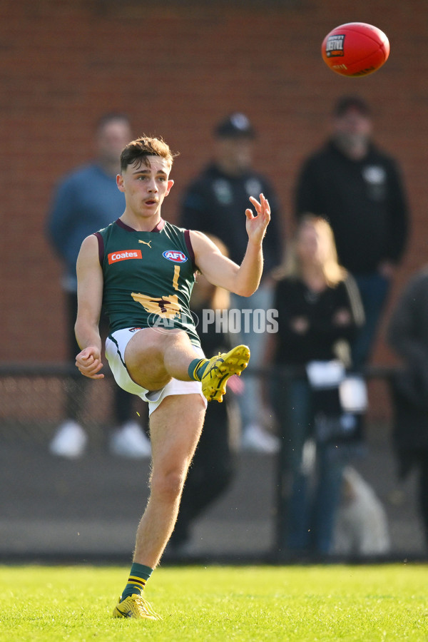 Coates Talent League U18 Boys 2024 Round 09 - Northern Knights v Tasmania Devils - A-49650928