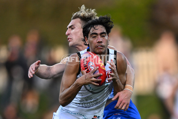 AFL 2024 Round 11 - North Melbourne v Yartapuulti - A-49656420