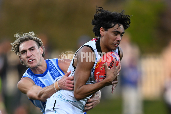 AFL 2024 Round 11 - North Melbourne v Yartapuulti - A-49656612