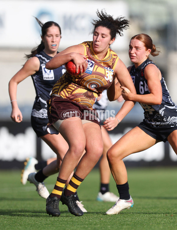 VFLW 2024 Round 10 - Carlton v Box Hill - A-49659099