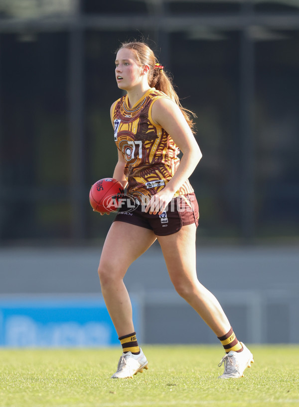 VFLW 2024 Round 10 - Carlton v Box Hill - A-49659101