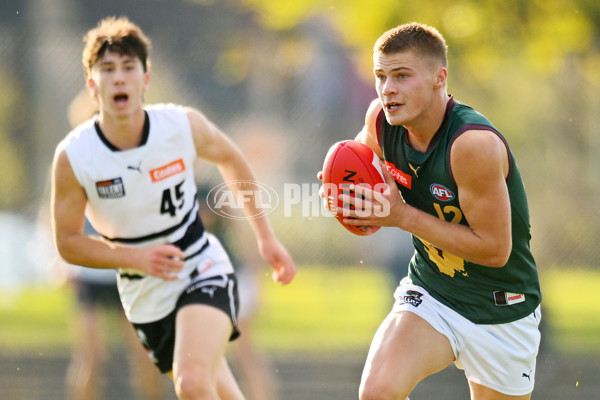 Coates Talent League U18 Boys 2024 Round 09 - Northern Knights v Tasmania Devils - A-49659679