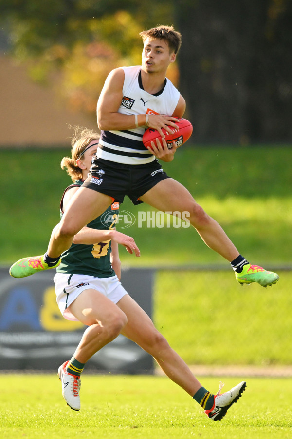 Coates Talent League U18 Boys 2024 Round 09 - Northern Knights v Tasmania Devils - A-49661909