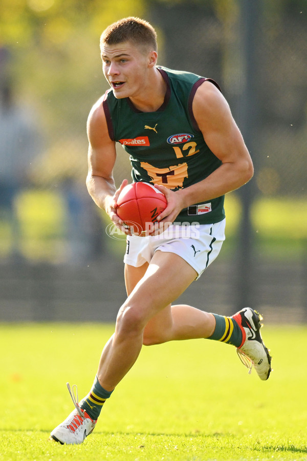 Coates Talent League U18 Boys 2024 Round 09 - Northern Knights v Tasmania Devils - A-49661911