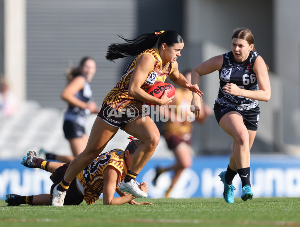 VFLW 2024 Round 10 - Carlton v Box Hill - A-49661960