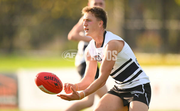 Coates Talent League U18 Boys 2024 Round 09 - Northern Knights v Tasmania Devils - A-49662104