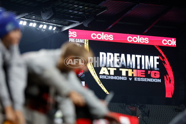 AFL 2024 Round 11 - Richmond v Essendon - A-49667476