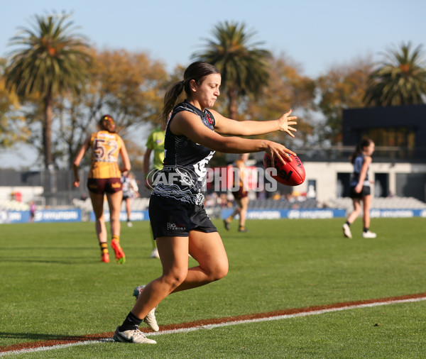 VFLW 2024 Round 10 - Carlton v Box Hill - A-49670355