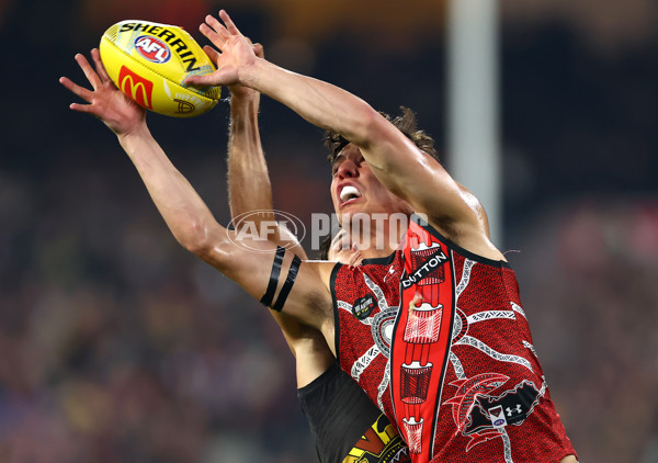 AFL 2024 Round 11 - Richmond v Essendon - A-49673655
