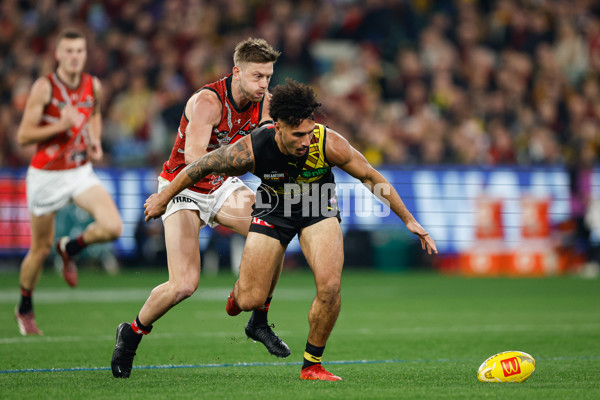 AFL 2024 Round 11 - Richmond v Essendon - A-49673688