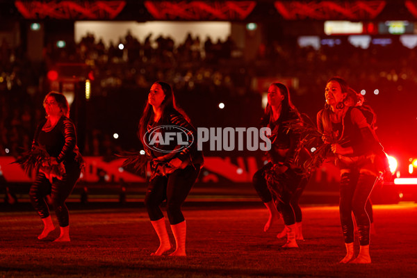 AFL 2024 Round 11 - Richmond v Essendon - A-49676165