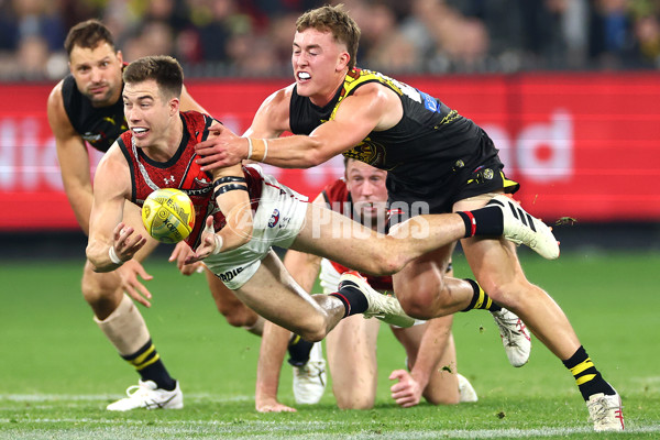 AFL 2024 Round 11 - Richmond v Essendon - A-49676199