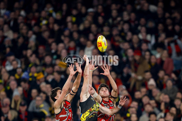 AFL 2024 Round 11 - Richmond v Essendon - A-49676245