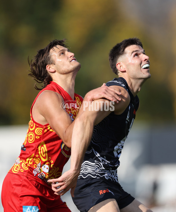 VFL 2024 Round 09 - Carlton v Gold Coast - A-49676306