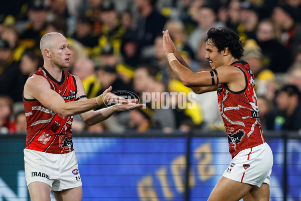 AFL 2024 Round 11 - Richmond v Essendon - A-49678781
