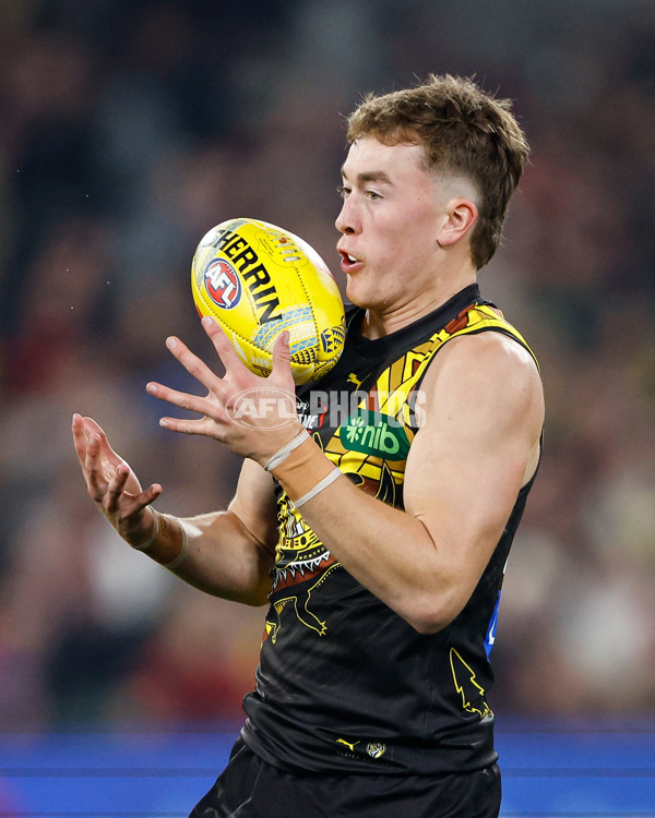 AFL 2024 Round 11 - Richmond v Essendon - A-49678783