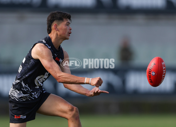 VFL 2024 Round 09 - Carlton v Gold Coast - A-49678868