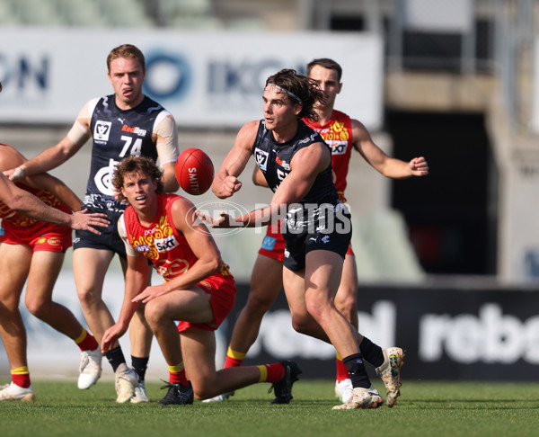 VFL 2024 Round 09 - Carlton v Gold Coast - A-49678937