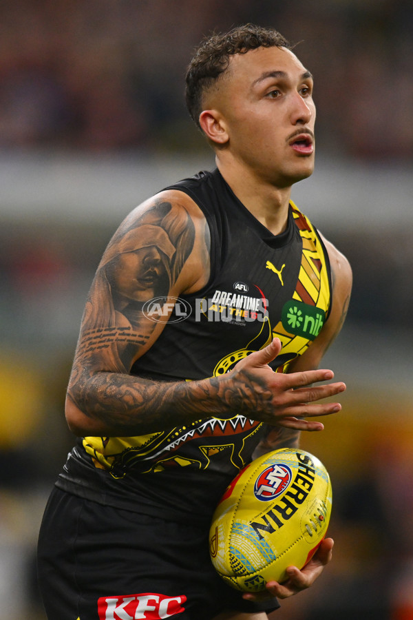AFL 2024 Round 11 - Richmond v Essendon - A-49678966